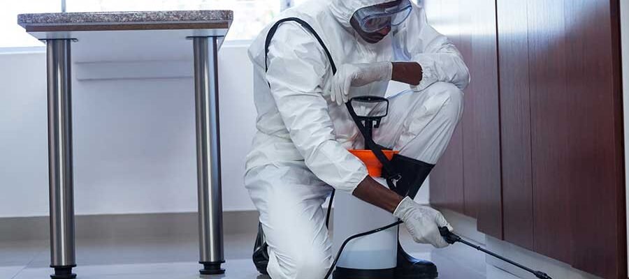 Pest control services Pest control services